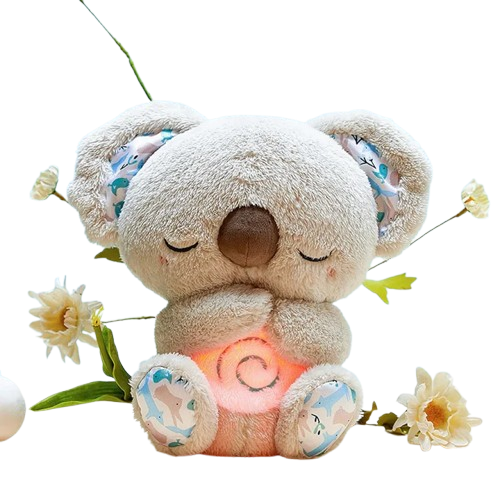 Trendy Picks, Daily Delivered.